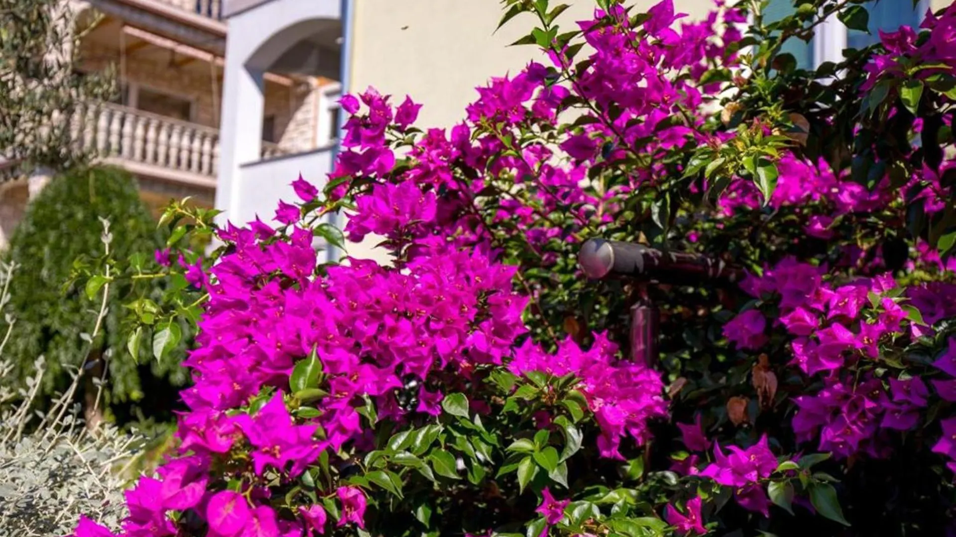 Dreamy Kvarner Apartments - Close To The Beach Kraljevica